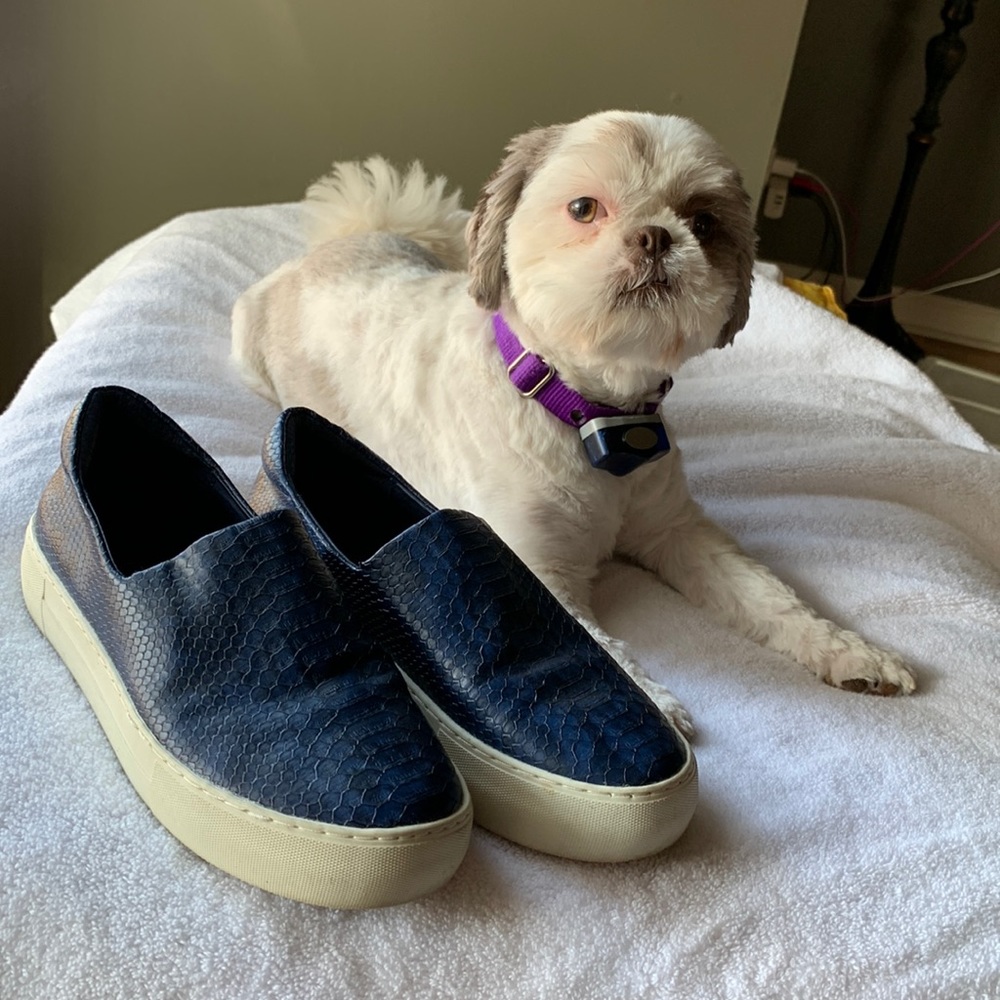 J/Slides Leather Embossed navy blue and black platform sneakers. Good condition!